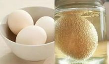 鸡蛋瘦身小实验