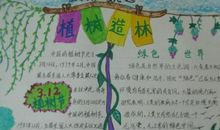 植树造林美化环境