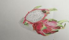 我为火龙果画张像