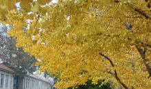 书签里的宛转流年