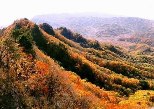 美丽的故乡鸡冠山