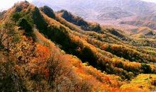 美丽的家乡——鸡冠山