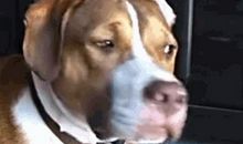 这样的人让我感到好笑