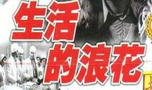 生活的浪花