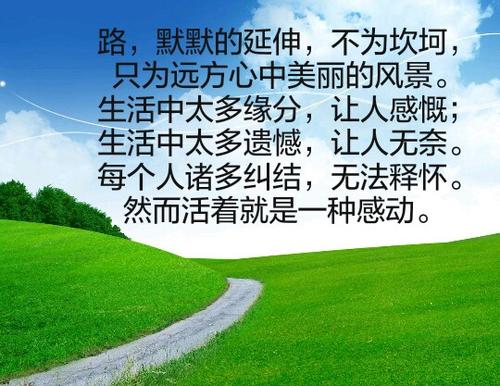 遗憾，也是一种美