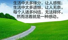 遗憾，也是一种美丽