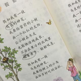 如果我有马良的魔笔