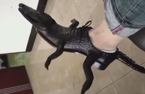 我们被骗了