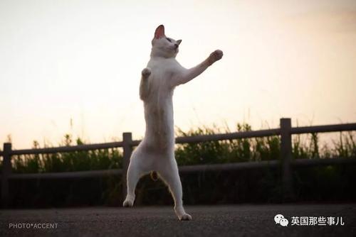 我爱散打