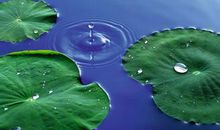 我听见了大自然的声音