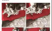 我像这样过暑假