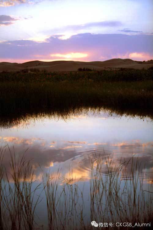 它在我的心中荡漾