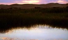 它在我心中荡漾