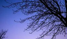 以生活为舟，渡知识之海