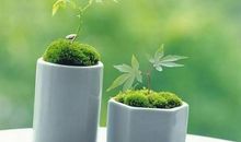 感动，其实很简单