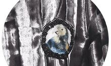 破茧是生命的隘口