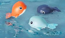 一只蓝色的小乌龟