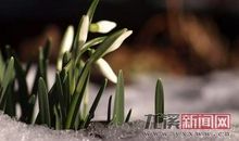 有信念才有远方