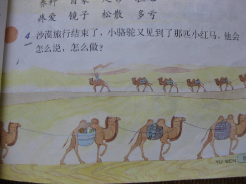 “你应该为正确而自豪”的续集