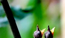 所有的收获都来之不易