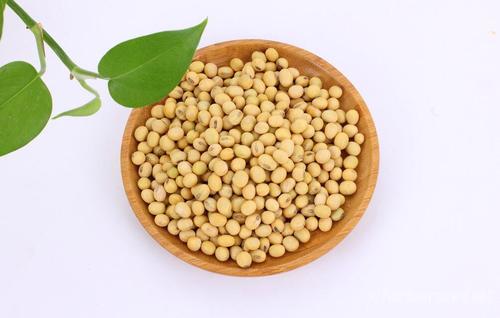 我的大豆