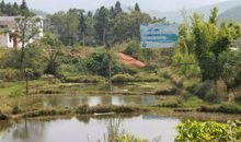 忆起外婆家的风景