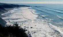 一朵生活的浪花