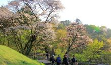 芬芳在我的心中