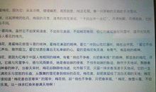 梅花的作文450字