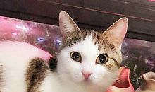 给我清静的假期就够了