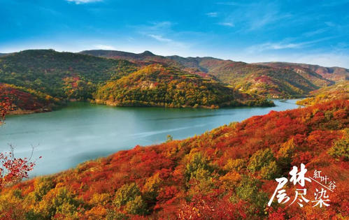 我错过了那个时候最美丽的风景