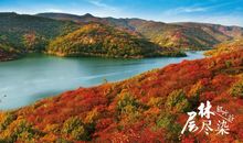 那一次我错过了最美的风景