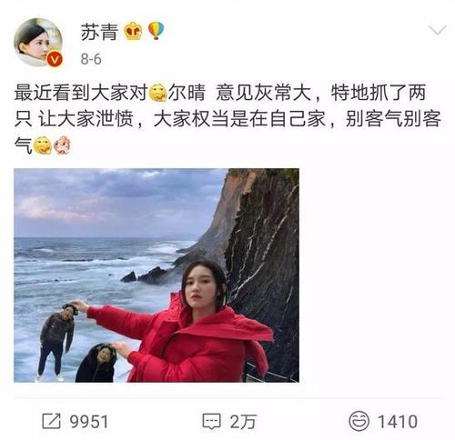 都是小媛的错