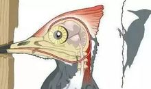 一幅漫画让我得到的启示