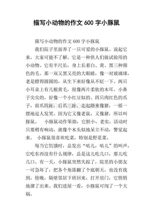 我和狗组成