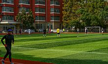 我最爱校园的足球场