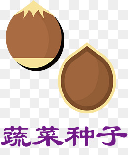 什么种子
