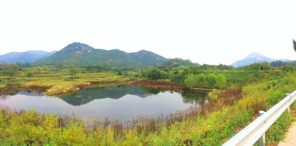 美丽的九山湖