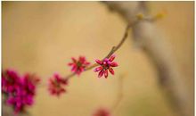 给每一条河，每一座山一个名字