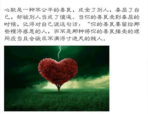 我了解你的好意