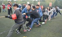 冬风里头嗅春光