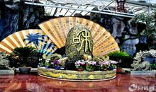 流动的花样年华