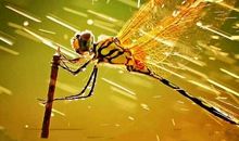 我改变了信念的颜色