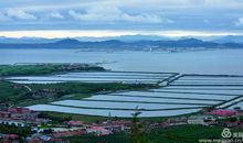 二十年后我的家