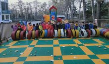 感恩之根扎在心田