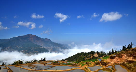 美丽的长白故里