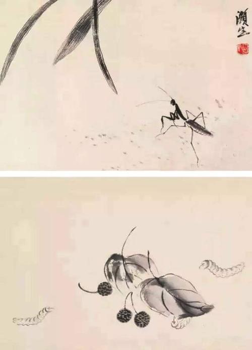 草虫王国