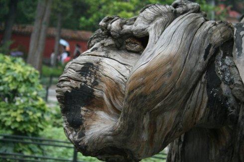 树的想法
