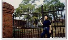 槐树中的宛转流年