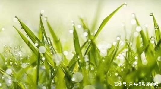 春天的声音